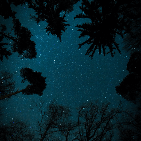 私について（自己紹介）